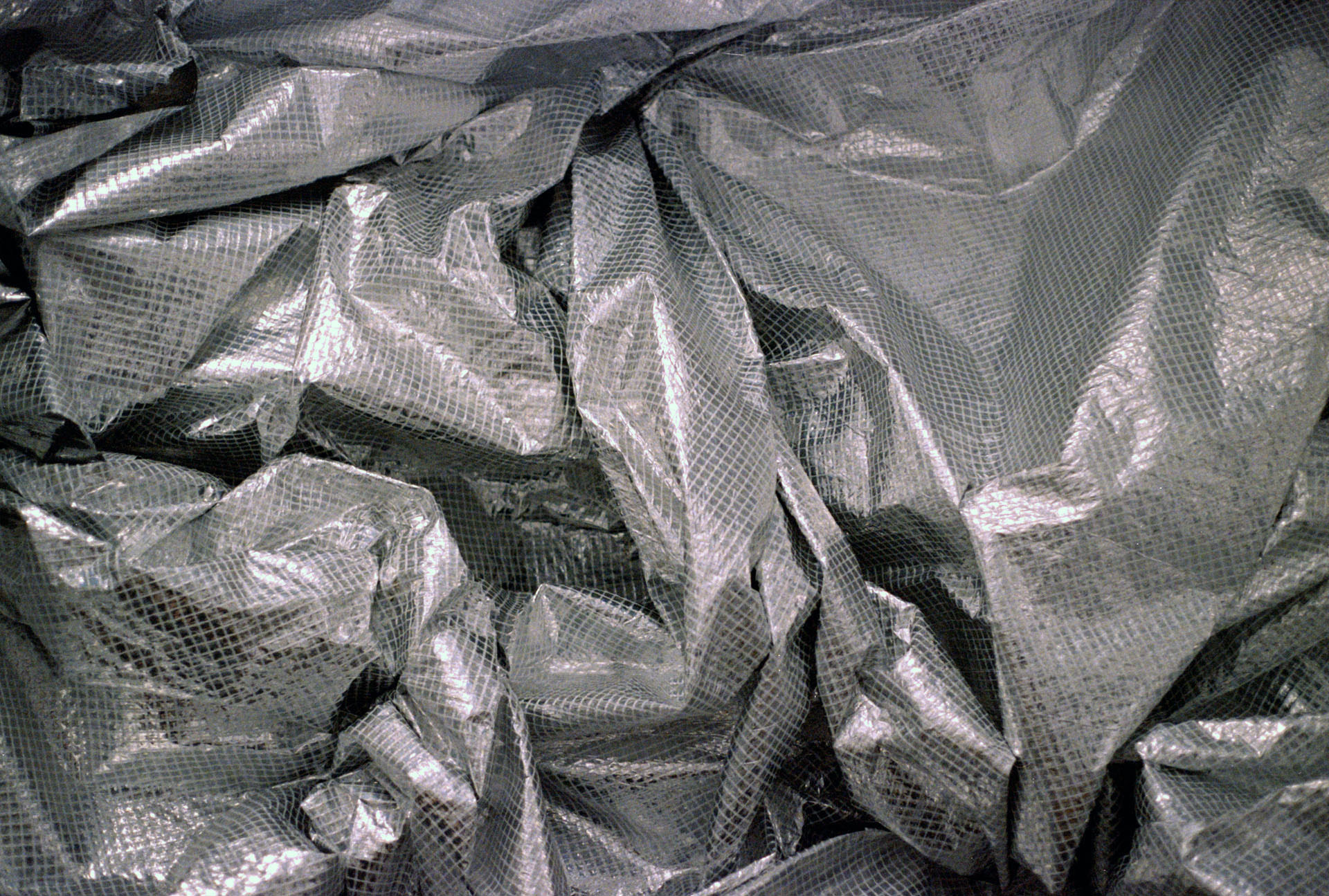 12 Months of film – June: Lomo, actually