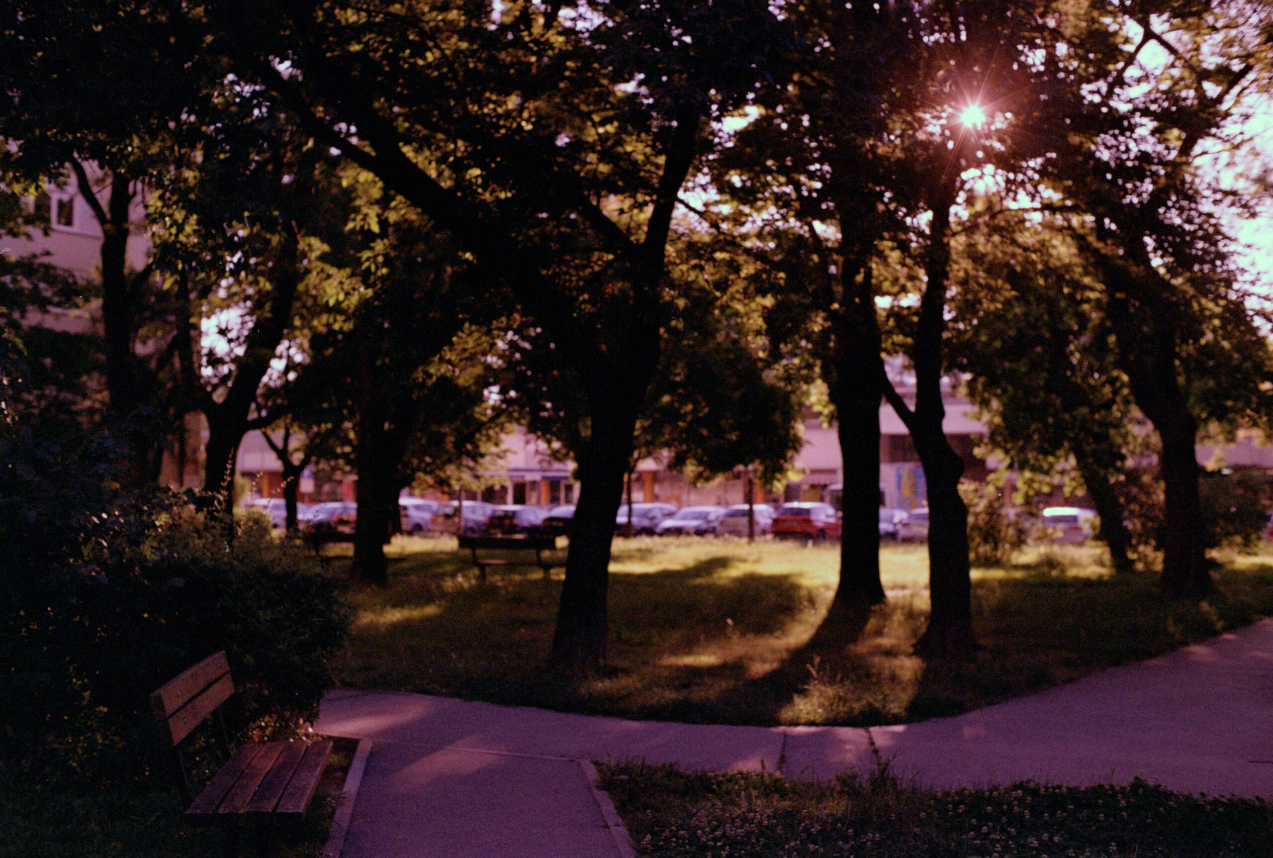 12 months of film – May: Pretty (annoying to scan) in pink